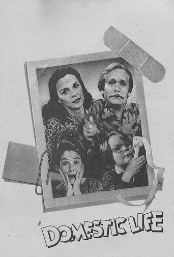 Domestic Life poster
