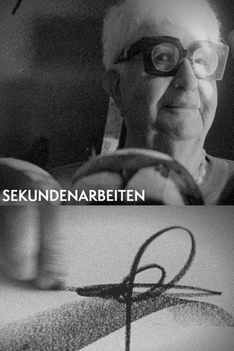 Movie poster for Sekundenarbeiten (2021)