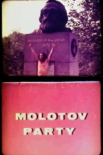 Movie poster for Molotov Party (1970)