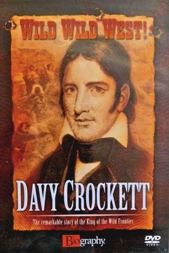 Movie poster for Wild Wild West: Davy Crockett (1994)