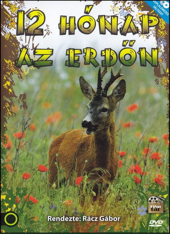 Series poster for 12 hónap az erdőn (1988)