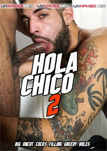 Movie poster for Hola Chico 2 (2024)
