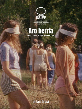 Aro berria poster