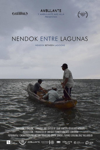 Movie poster for Nendok entre lagunas (2021)