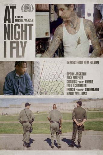 Movie poster for At Night I Fly (2011)