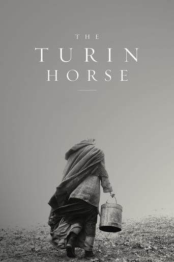 The Turin Horse poster