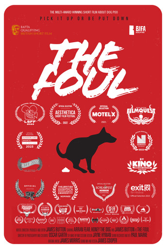 Movie poster for The Foul (2021)