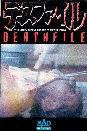 Movie poster for Death File (1989)