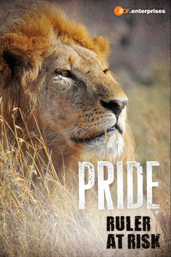 Movie poster for Pride Ruler at Risk (2016)
