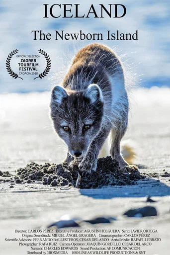 Movie poster for Iceland, the newborn island (2018)