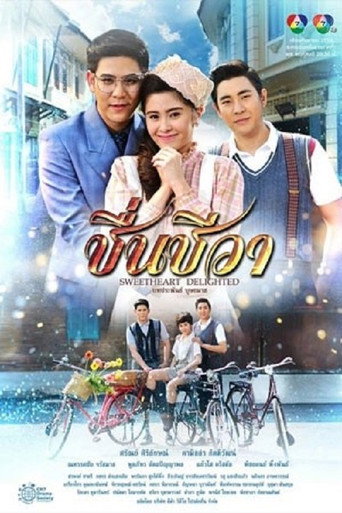 Sweetheart Delighted poster