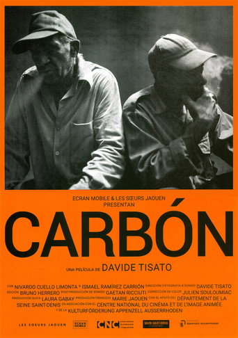 Movie poster for Carbón
