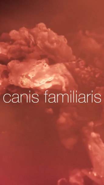 Movie poster for Canis familiaris (2017)
