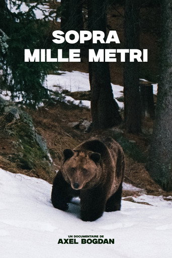 Movie poster for Sopra Mille Metri (2026)