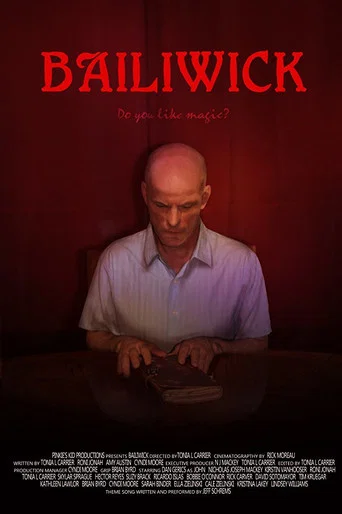 Movie poster for Bailiwick (2017)