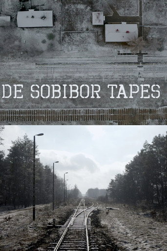 Movie poster for De Sobibor Tapes (2021)