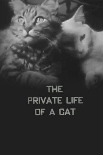 Movie poster for The Private Life of a Cat (1946)