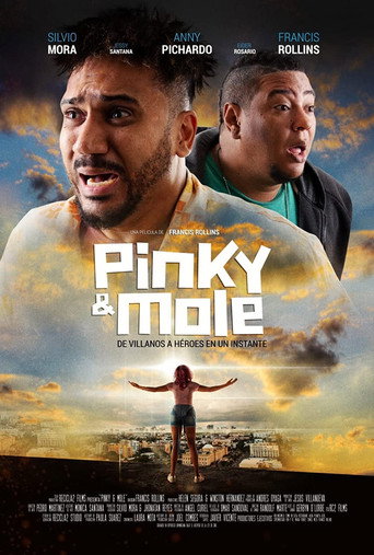 Movie poster for Pinky & Mole (2020)
