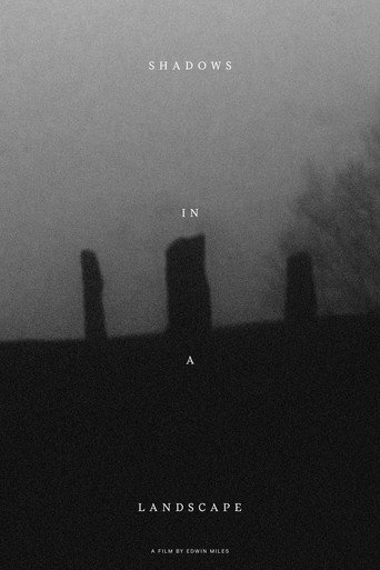 Movie poster for Shadows in a Landscape (2020)