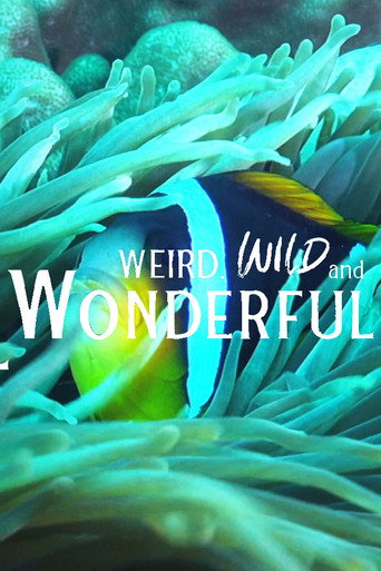 Movie poster for Weird, Wild, and Wonderful (2023)