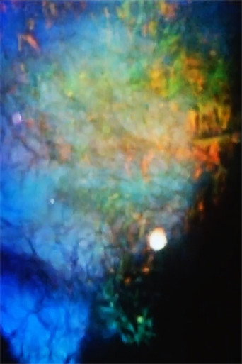 Movie poster for Echoes (2015)
