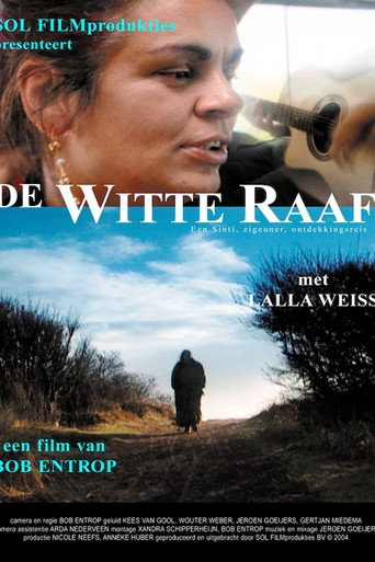 Movie poster for De witte raaf (2004)