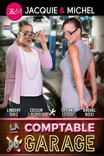 Movie poster for La Comptable du Garage