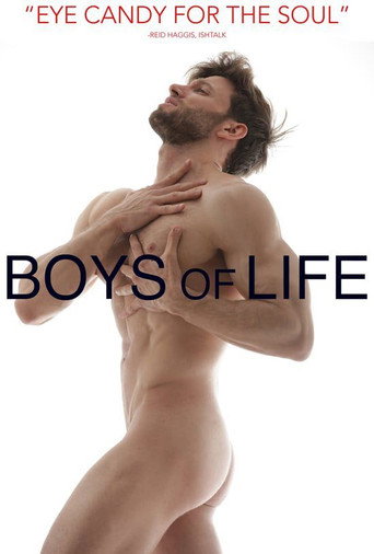 Movie poster for Boys of Life (2016)