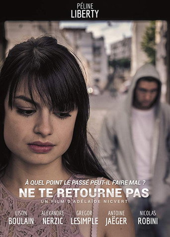 Movie poster for Ne te retourne pas (2016)