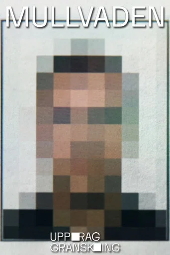 Movie poster for Uppdrag granskning - Mullvaden (2025)
