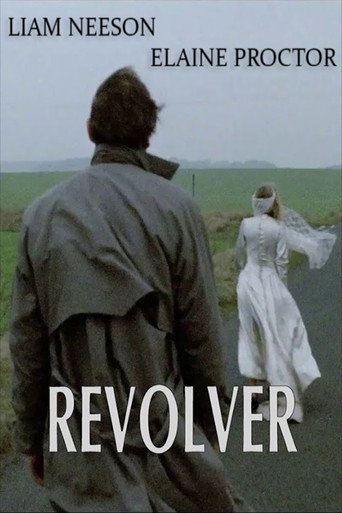Movie poster for Revolver (1991)