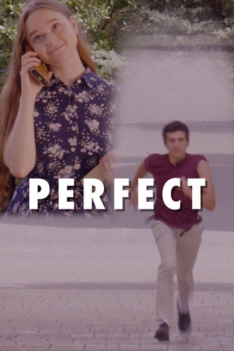Movie poster for Perfect (2024)