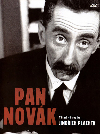 Pan Novák poster