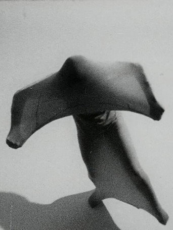 Movie poster for Ana Kamien (1970)
