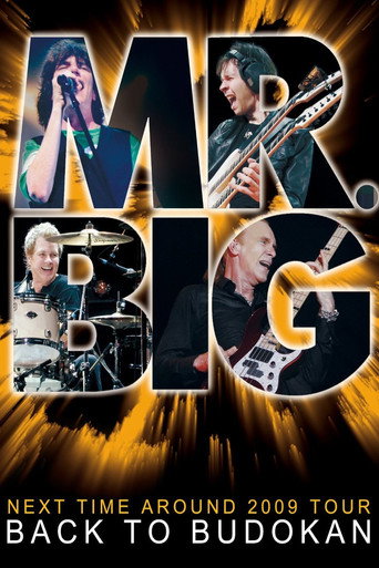 Movie poster for Mr. Big: Back to Budokan (2009)