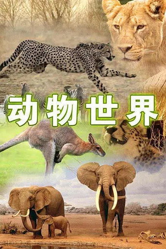 Series poster for 动物世界 (1981)