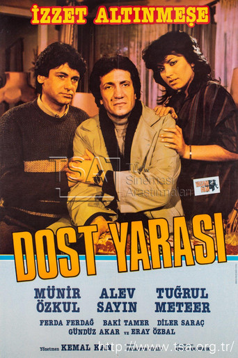 Dost Yarası poster