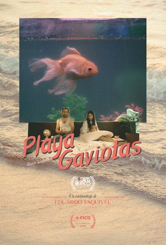 Movie poster for Seagulls Beach (2019)