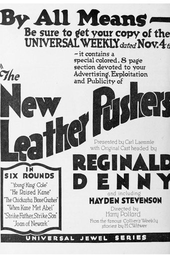 Movie poster for Joan of Newark (1923)