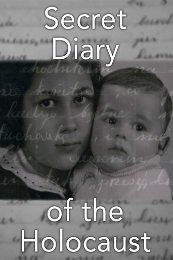 Movie poster for The Secret Diary of the Holocaust (2009)