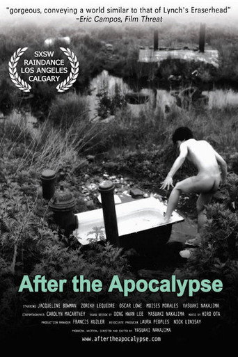 Movie poster for After the Apocalypse (2004)