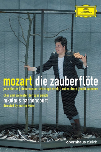 Movie poster for Die Zauberflöte (2007)