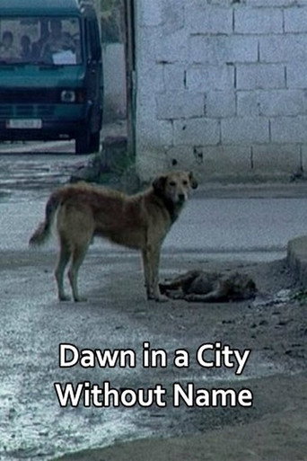 Movie poster for Dawn in a City Without Name (2014)
