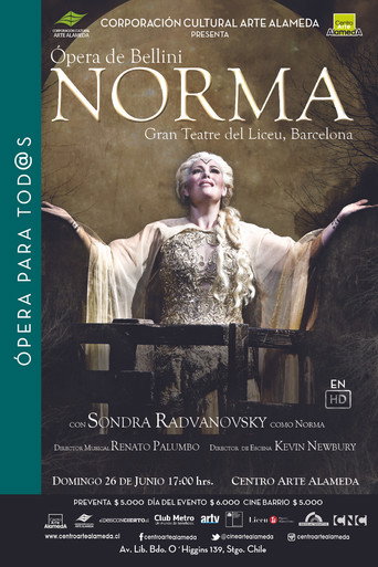 Movie poster for Bellini: Norma (2015)