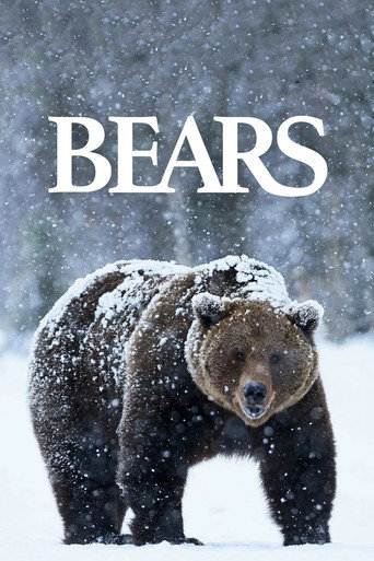 Movie poster for Bears (2004)