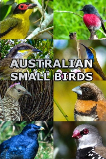 Movie poster for Australian Small Birds (2021)