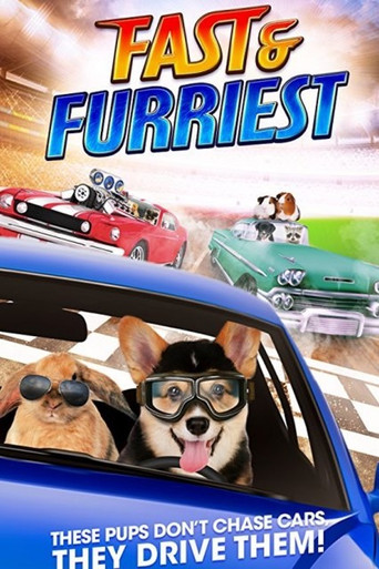 Fast and Furriest poster