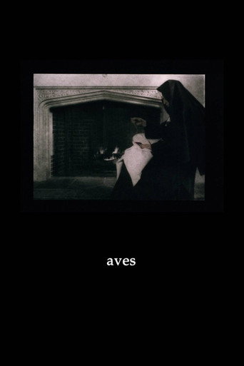 Movie poster for Aves (1998)