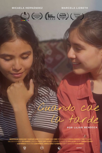 When Afternoon Falls poster