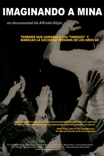 Movie poster for Imaginando a Mina (2010)